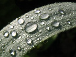 Rainer Hanemann "Nach dem Regen"